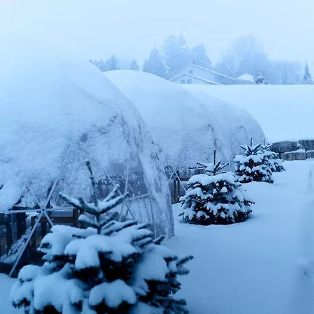 De Restaurant Chez Aron Balde Hotel Bellelay