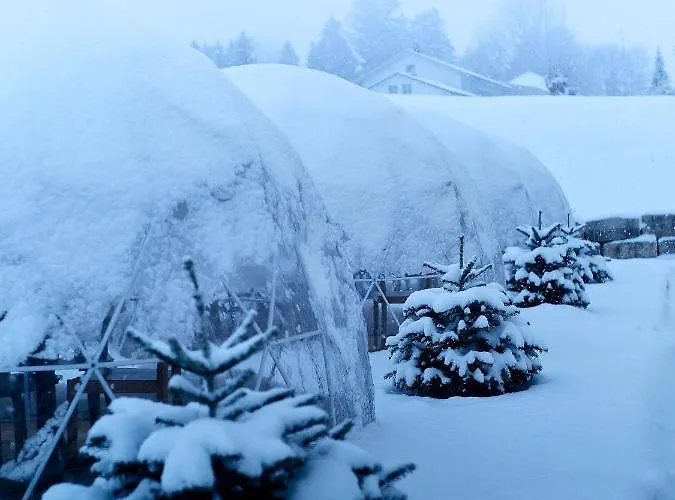 De Restaurant Chez Aron Balde Otel Bellelay